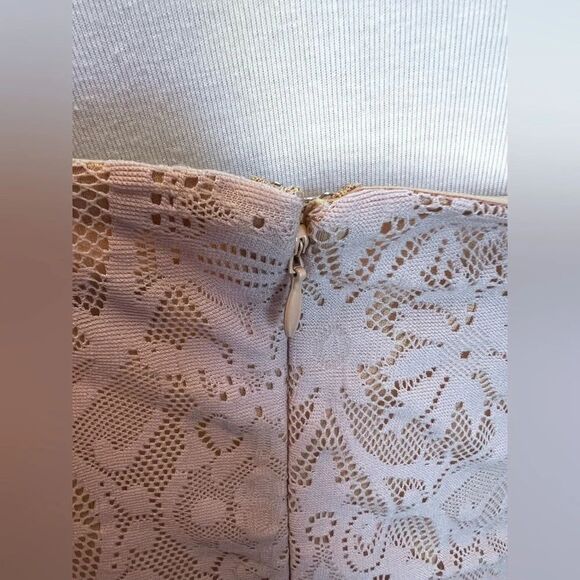 NWOT Dress The Polulation Leanne Lace Mini Dress in Blush-Tagged XL fits like M - Picture 14 of 14